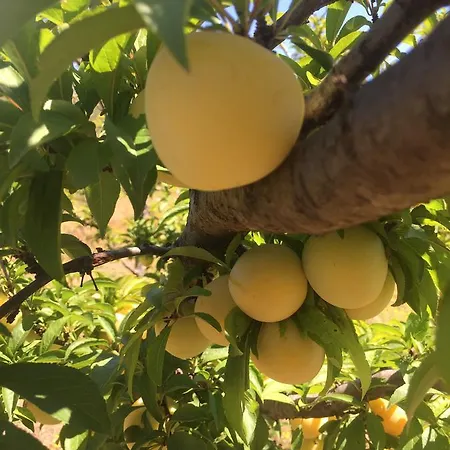 팜스테이 Relais Benemari